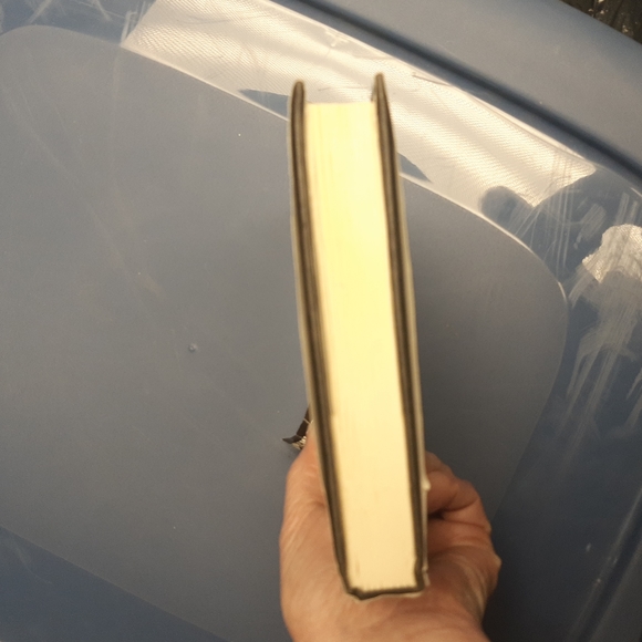 Terry Brooks A Knight of the Word - Picture 8 of 8